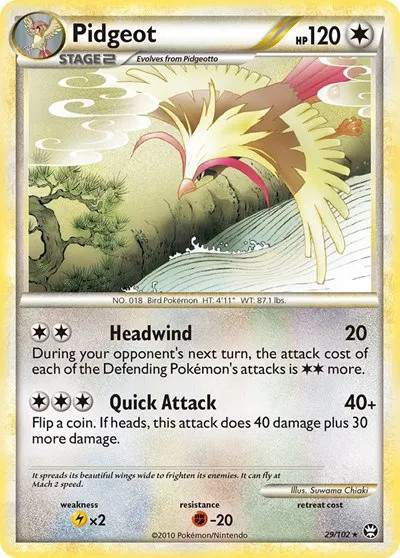 Pidgeot 