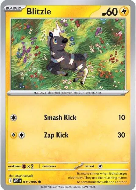 Blitzle 