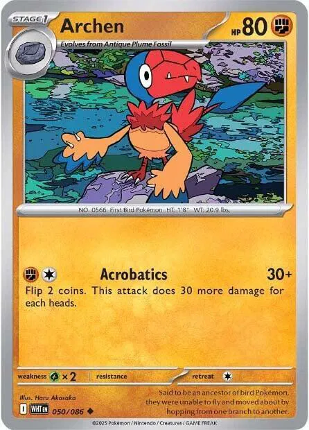 Archen 
