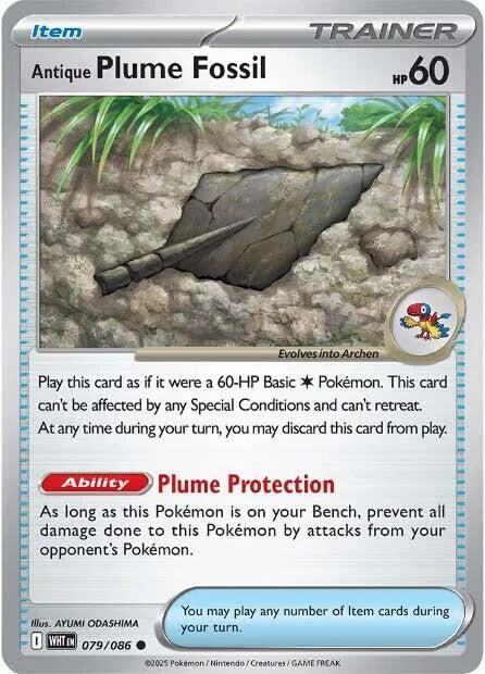 Antique Plume Fossil 