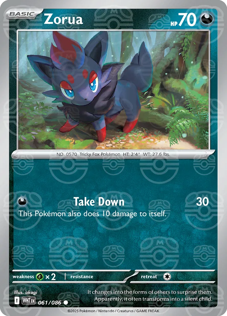 Zorua (Master Ball Pattern) 