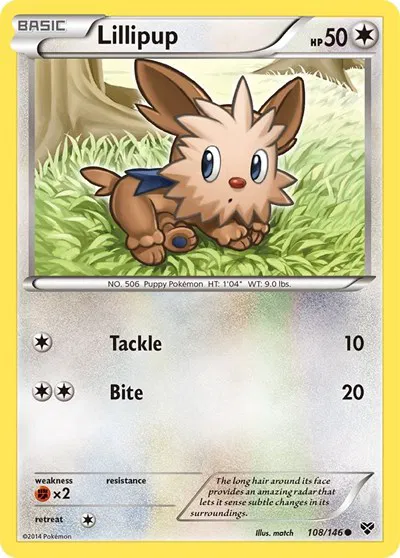 Lillipup 