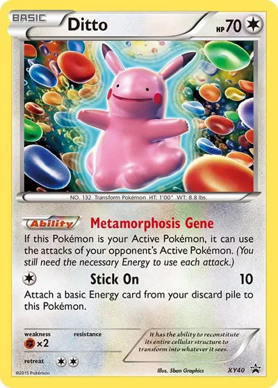 Ditto 