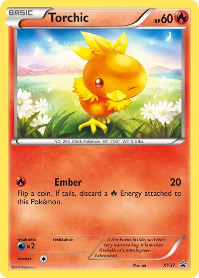 Torchic  