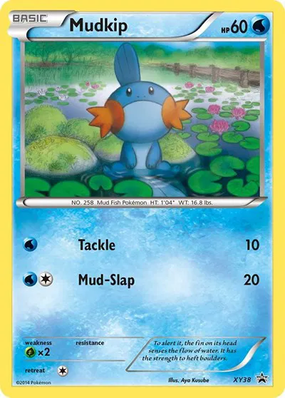Mudkip  
