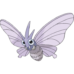 Venomoth