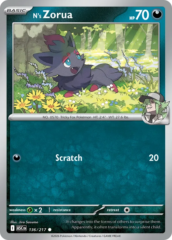 N's Zorua (Energy Symbol Pattern) 