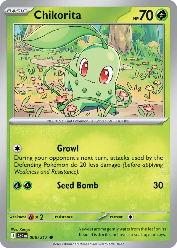 Chikorita (Energy Symbol Pattern) 