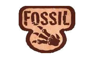 Fossil